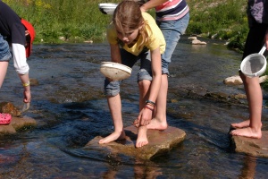 Wassertiere